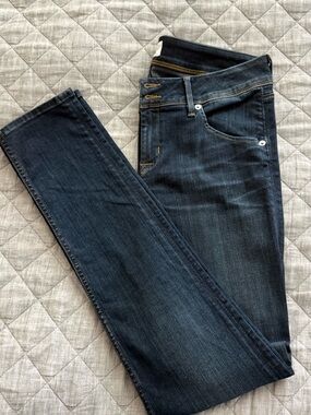 Hudson Jeans Dark Indigo Skinny Collin